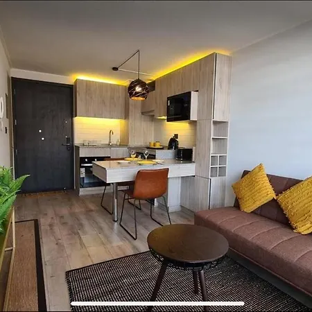 Comodo Y Hermoso Departamento En Santiago